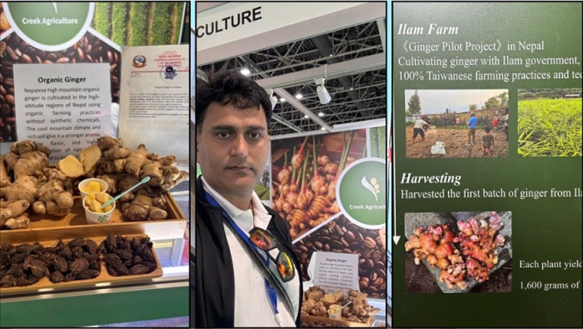दुबईको एक्स्पाेमा इलामको अर्गानिक ‘सुगन्ध’: अदुवा र अलैँचीले विश्व बजारमा बनाए बलियो पकड